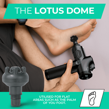Universal Massage Gun Head Attachments